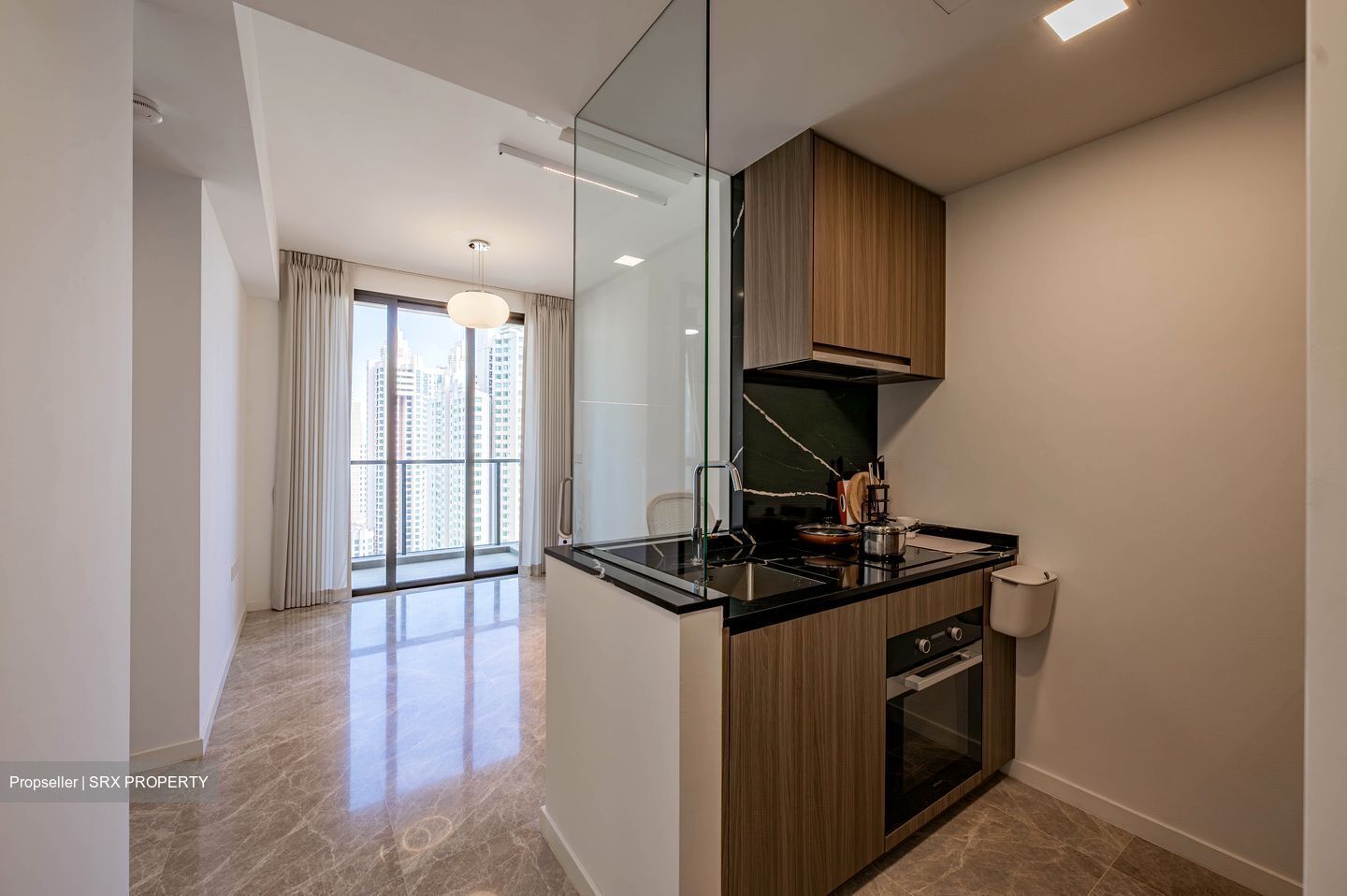 Irwell Hill Residences (D9), Apartment #585012781